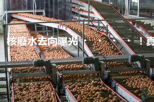 核廢水去向曝光！真相何在？